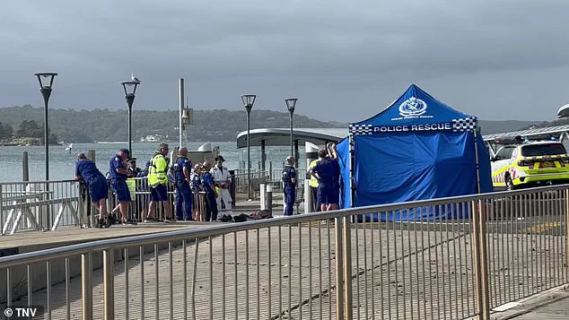 Sydney Beaches on Lockdown After Three Shark Attacks, Including Two Children, Spark Calls for Safety Measures