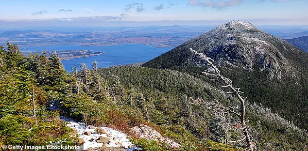 A Quiet Life in Moose River: 'Here, the absence of modern distractions is not a drawback but a defining feature,' says longtime resident Clara Bennett.