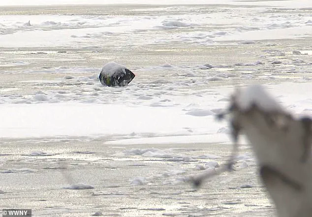 Bryan LaPlante, 33, Dies After Heroic Ice Fishing Rescue Attempt on Chaumont Pond