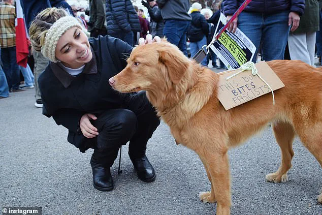 Exclusive Access: Soros-Backed Indivisible Project's Event at Center of Controversy as Palestinian-American Candidate Misses Key Virtual Meeting