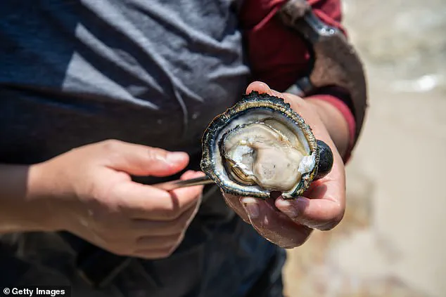 Historic Boston Harbor Reopens for Fishing, Marking Major Cleanup Milestone