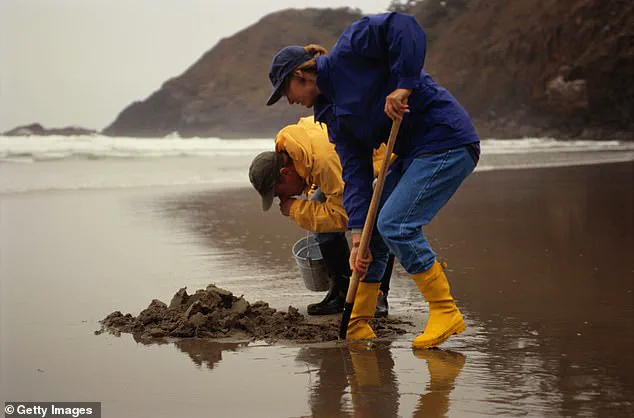 Historic Boston Harbor Reopens for Fishing, Marking Major Cleanup Milestone