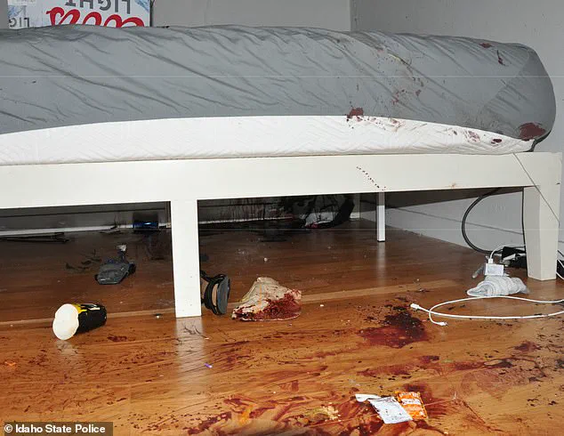 Previously Unseen Crime Scene Photos from Idaho Murders Released, Swiftly Removed by State Police
