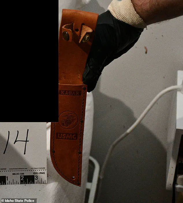 The Perfect Crime That Wasn't: How Hidden Information Exposed the Killer's Downfall