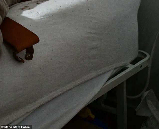 The Perfect Crime That Wasn't: How Hidden Information Exposed the Killer's Downfall