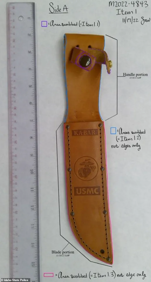 The Perfect Crime That Wasn't: How Hidden Information Exposed the Killer's Downfall