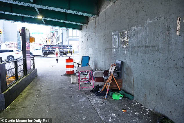 Controversy Erupts as Homeless Encampments Reappear in Manhattan Despite New York City Official's Pledge to Halt Clearances