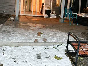 Idaho State Police Controversy Over Release and Retraction of Graphic Crime Scene Photos