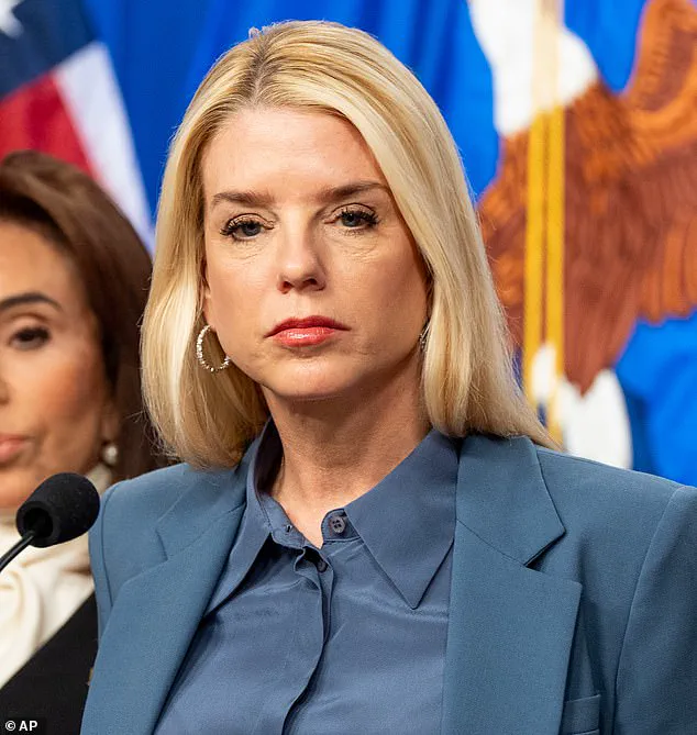 Alleged ICE Kidnapping Claims by Somali-American Woman Fuel National Debate on Immigration and Racial Issues