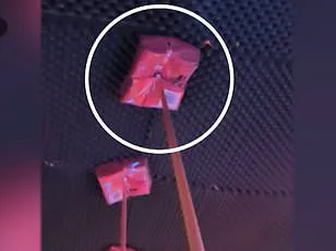 Eleonora Palmieri's Ordeal: Surviving the Crans-Montana Nightclub Fire and Its Lasting Impact