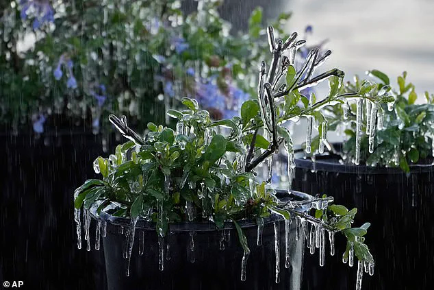 US Communities Braced for 'Bomb Cyclone' as Winter Storm Gianna Targets 35 Million