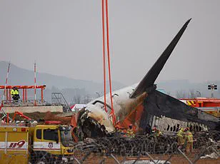 Sir Elton John's Pilot Faces Bird Strike During Takeoff as Boeing 737 Heads to Paris