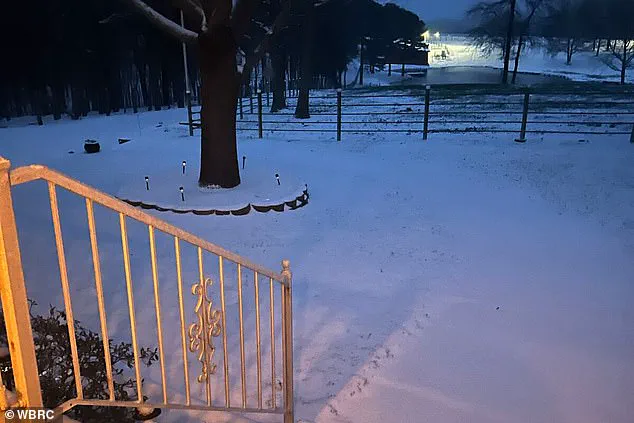 Homeless Man Survives Garbage Truck Accident During Winter Storm Fern