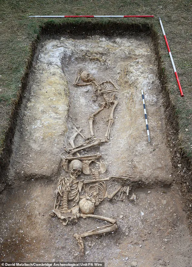 Viking-Era Burial Pit Unearths Decapitated Remains and Towering Figure, Hinting at 9th-Century Anglo-Saxon Conflict