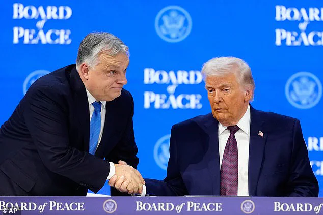 Trump's Board of Peace Holds First Meeting to Address Gaza Reconstruction and Global Conflict Resolution