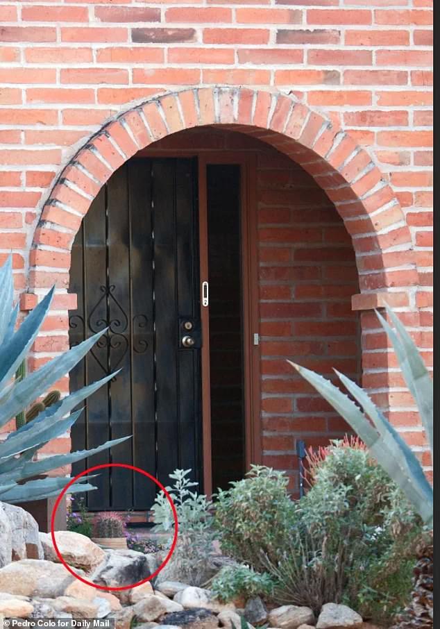 Nancy Guthrie's Family Pleads for Answers After FBI Releases Footage of Masked Intruder