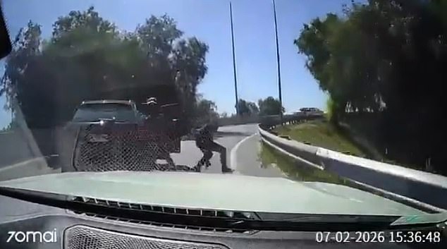Chilean Motorist's Bold Move Sparks Debate Over Self-Defense After Highway Robbery Standoff