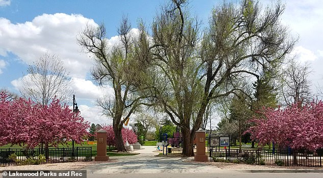 Aviation Park's Transformation: From Suburban Haven to Crisis of Encampments and Public Health Concerns