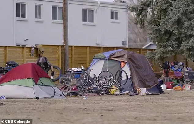 Aviation Park's Transformation: From Suburban Haven to Crisis of Encampments and Public Health Concerns