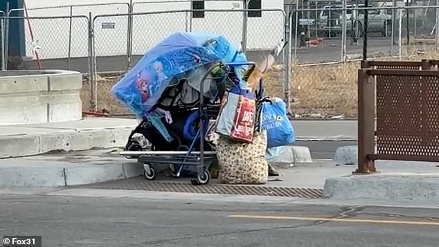 Aviation Park's Transformation: From Suburban Haven to Crisis of Encampments and Public Health Concerns