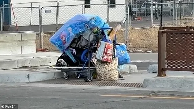 Aviation Park's Transformation: From Suburban Haven to Crisis of Encampments and Public Health Concerns