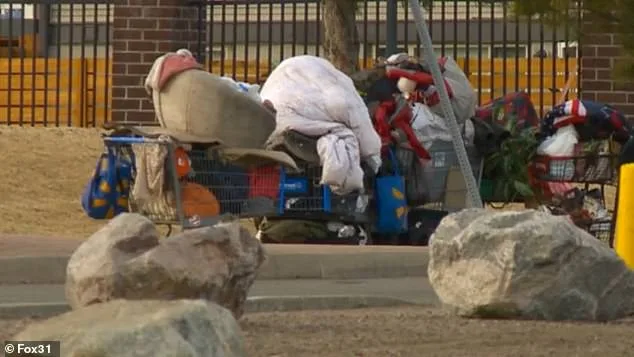 Aviation Park's Transformation: From Suburban Haven to Crisis of Encampments and Public Health Concerns