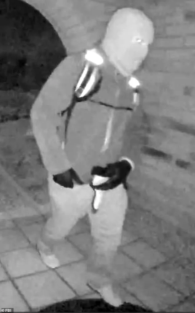 New Surveillance Footage of Unidentified Man with Similar Backpack Reignites Speculation in Nancy Guthrie's Disappearance