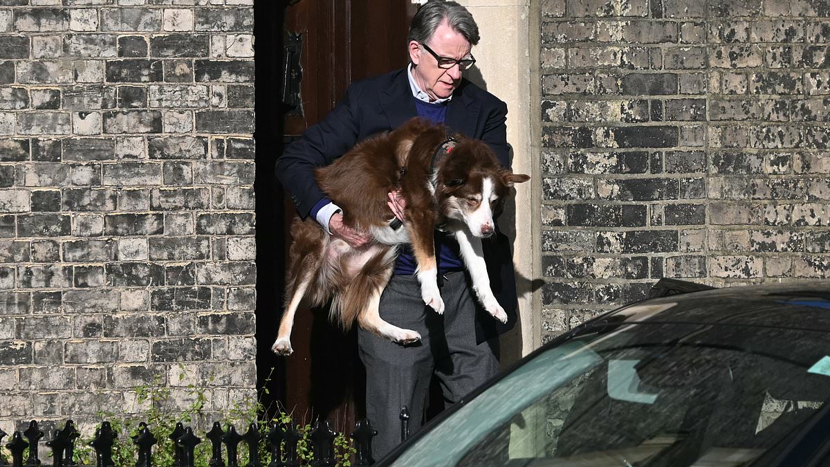Lord Peter Mandelson Resurfaces Amid Epstein Ties and UK Investigation