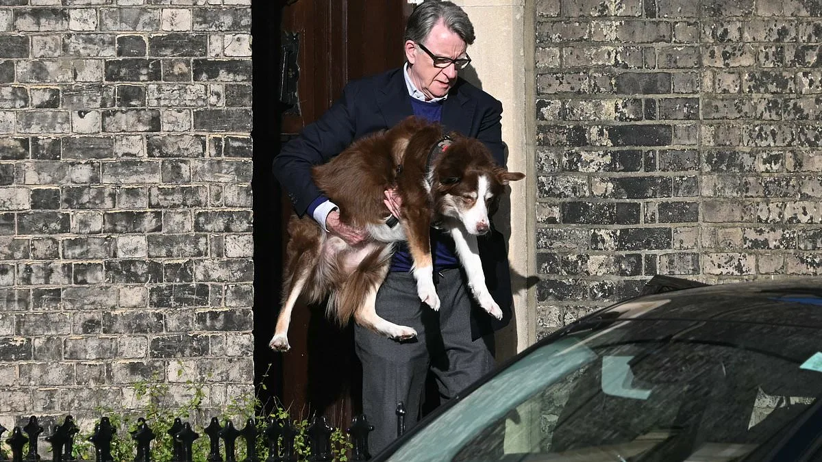 Lord Peter Mandelson Resurfaces Amid Epstein Ties and UK Investigation