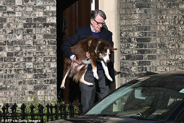 Lord Peter Mandelson Resurfaces Amid Epstein Ties and UK Investigation