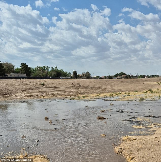 Shocking Allegations: Mother Charged with Felony Child Abuse After Newborn Left to Drown in Chemical-Filled Toilet