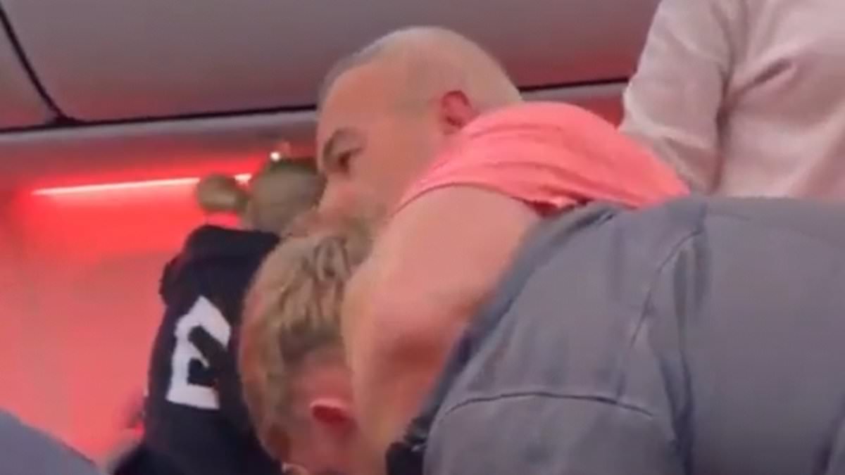 Chaos on Jet2 Flight: Emergency Diversion After Viral Footage Reveals Violent Passenger Altercation and Safety Protocols Under Scrutiny