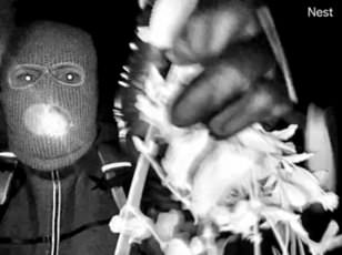 Trump Threatens Capital Punishment for Nancy Guthrie's Captors as FBI Investigates Disappearance