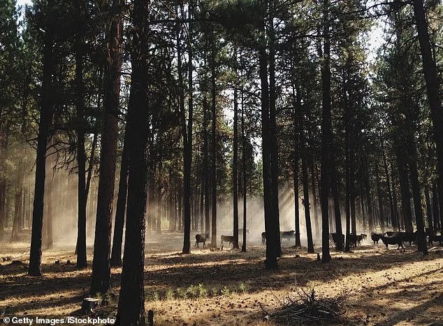 Oregon at a Crossroads: Controversial PEACE Act Proposal Sparks Debate Over Hunting, Fishing Bans