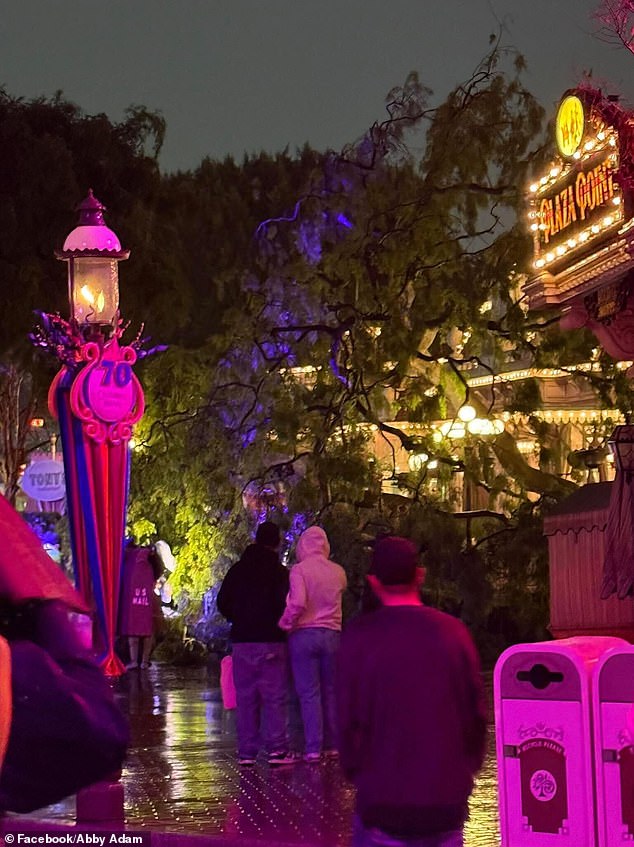 Chaos at Disneyland: Tree Crash Disrupts Romantic Evening