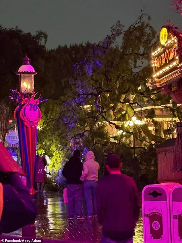 Chaos at Disneyland: Tree Crash Disrupts Romantic Evening