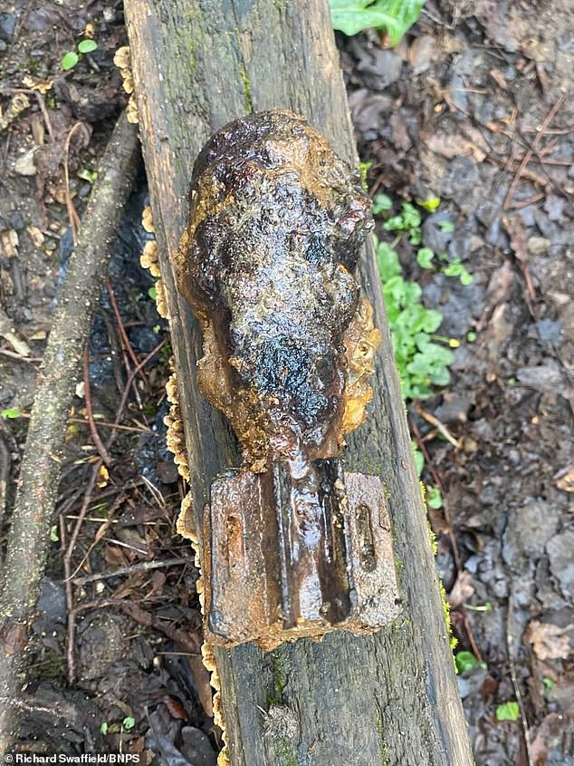 Father and Son Uncover Live WWII Shell in River Stour, Prompting Bomb Squad Alert