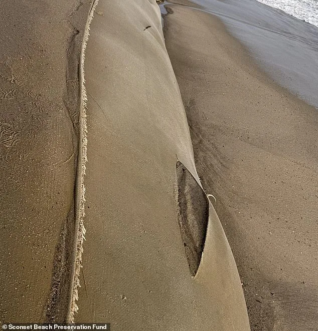 Nantucket Officials Offer $10,000 Reward for Vandalism Damaging Coastal Erosion Barriers