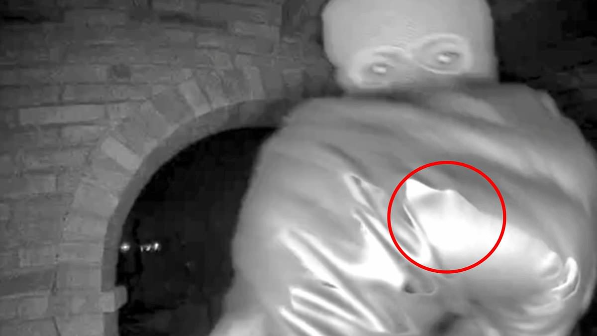 The Pinky Ring Clue: A Shadow in the Footage That Could Change the Course of the Nancy Guthrie Case