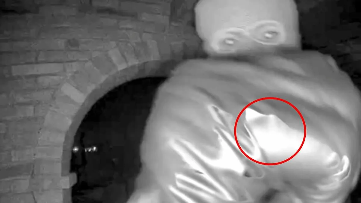 The Pinky Ring Clue: A Shadow in the Footage That Could Change the Course of the Nancy Guthrie Case