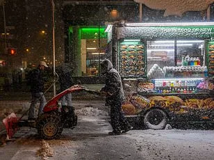 Blizzard Paralyzes East Coast Airports, Cancellations Near 100% as Storm Leaves 20 Inches of Snow