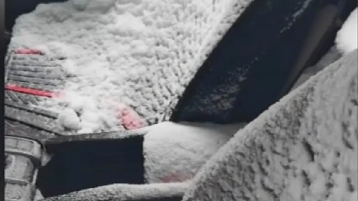 Viral Video Captures Philadelphia Man's Nightmare as Blizzard Buries His Car in Snow—Irony of Opened Windows Adds to the Chaos