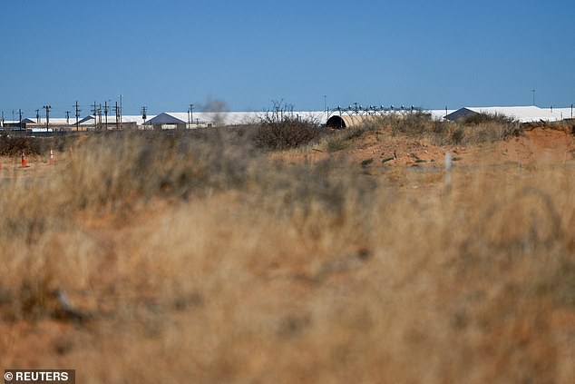 Seamus Culleton's ICE Detention Sparks Debate on Immigration Law and Domestic Violence