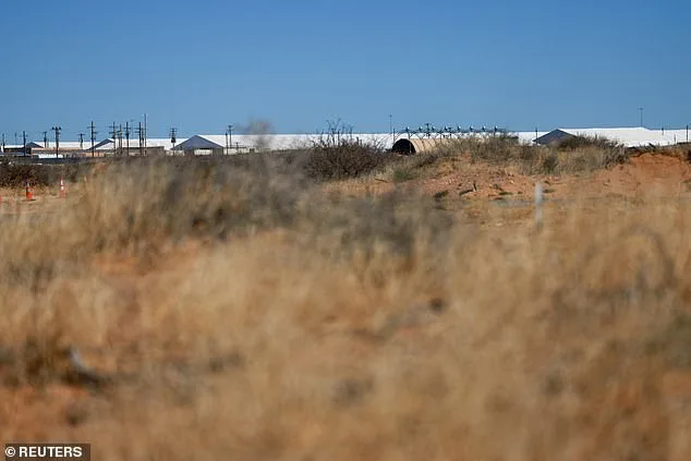 Seamus Culleton's ICE Detention Sparks Debate on Immigration Law and Domestic Violence