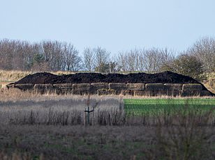 Andrew Mountbatten-Windsor's Royal Delivery Dilemma: Waitrose Drivers 'Pull Straws' to Avoid Task