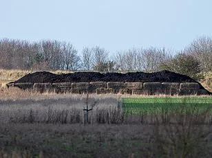 Andrew Mountbatten-Windsor's Royal Delivery Dilemma: Waitrose Drivers 'Pull Straws' to Avoid Task