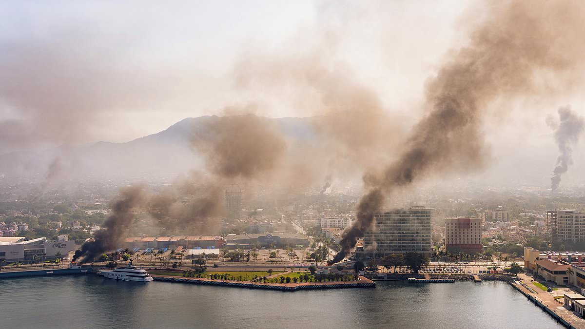 Silence Amid the Ashes: Puerto Vallarta's Hidden War and the Government's Secret