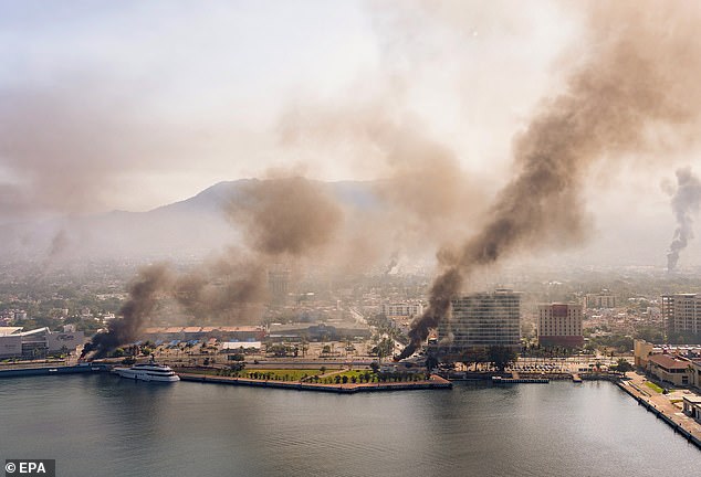 Silence Amid the Ashes: Puerto Vallarta's Hidden War and the Government's Secret