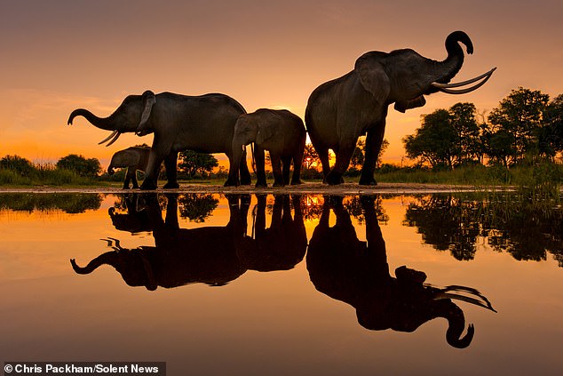 Chris Packham's Debut Fine Art Photography Exhibition 'More Beautiful Than You' Opens in London on March 12