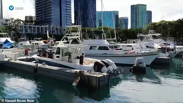 Convicted Hawaii Crime Boss Accused of Orchestrating Staged Overdose to Avoid Asset Seizure